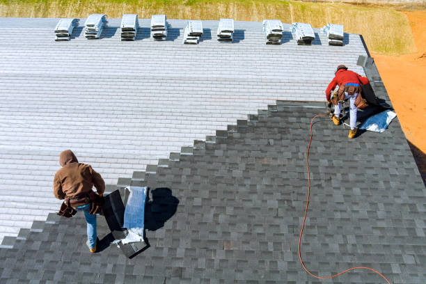 Best Roof Insulation Installation  in Greenwood, MS